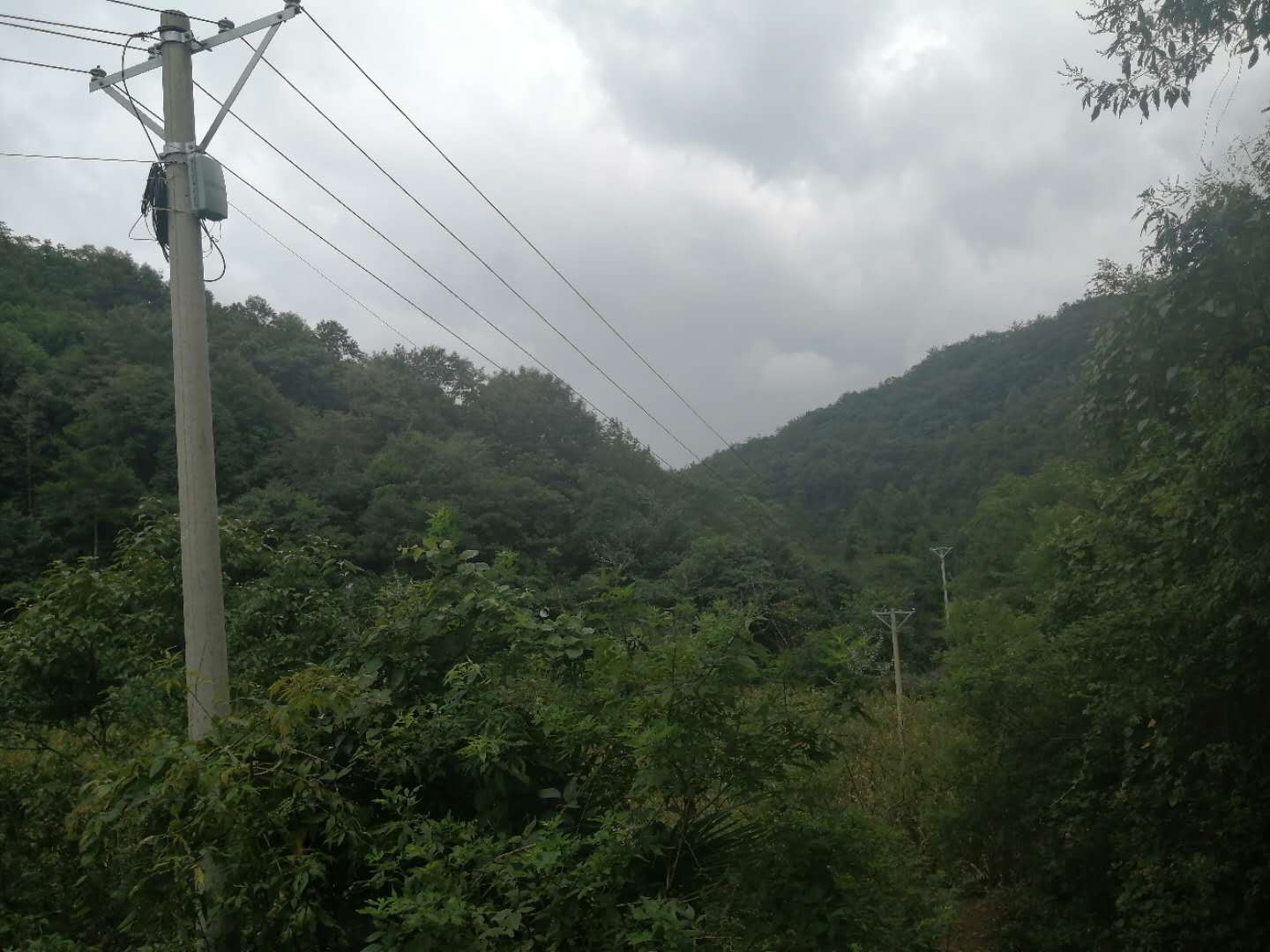 ���ŵ�����Ϸע����38�ʽ�