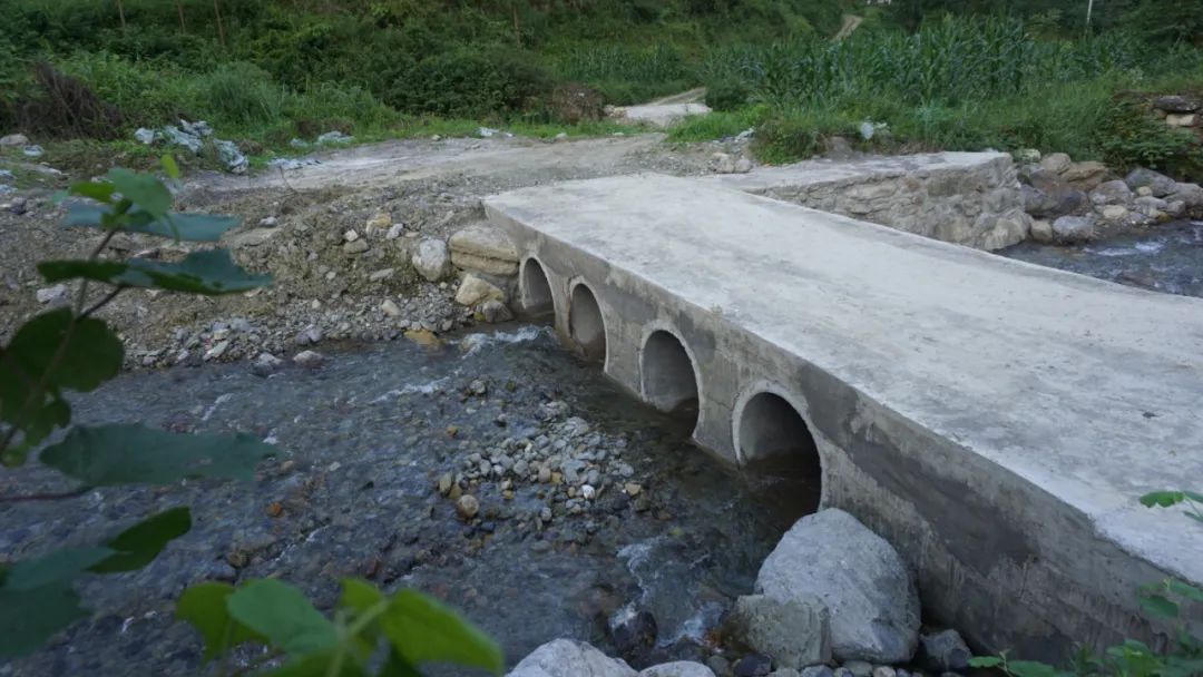 ���ŵ�����Ϸע����38�ʽ�