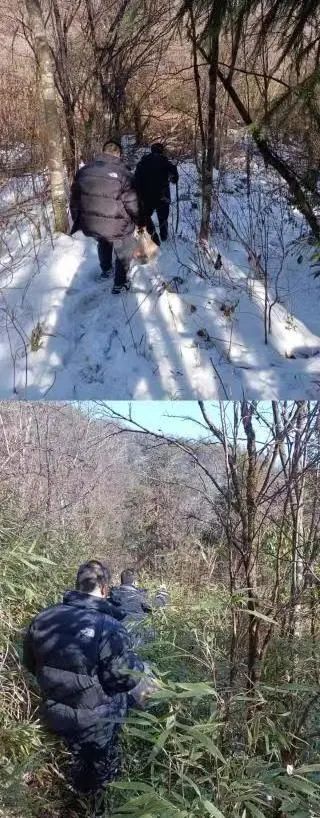 ���ŵ�����Ϸע����38�ʽ�